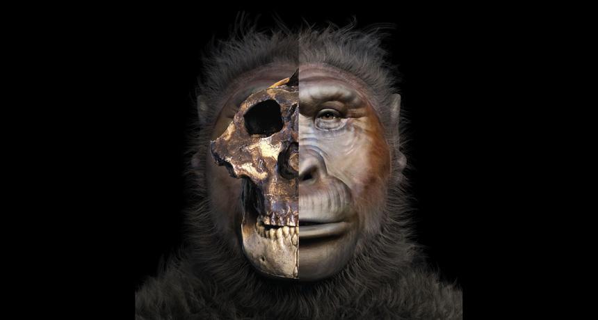 Reconstrucciones realistas de antepasados ​​humanos